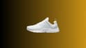 Nike Presto : comment résister à cette paire de baskets super tendance avec un prix si bas ?