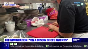 Loi immigration : "on a besoin de ces talents"