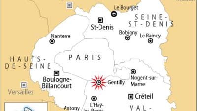 RIXE MORTELLE À GENTILLY DANS LE VAL-DE-MARNE