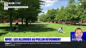 Nord-Pas-de-Calais: les allergies au pollen reviennent