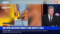 Le break du 16 octobre