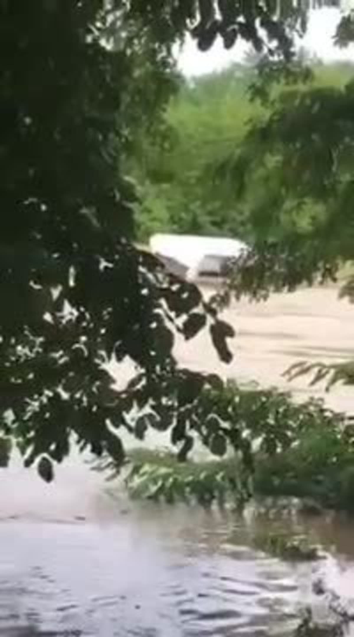 placeholder video
