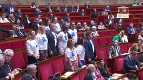 Des députés écologistes revêtent des "warming stripes" dans l'hémicycle pour interpeller le gouvernement sur le réchauffement climatique 