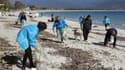 Nettoyage d'une plage en Corse