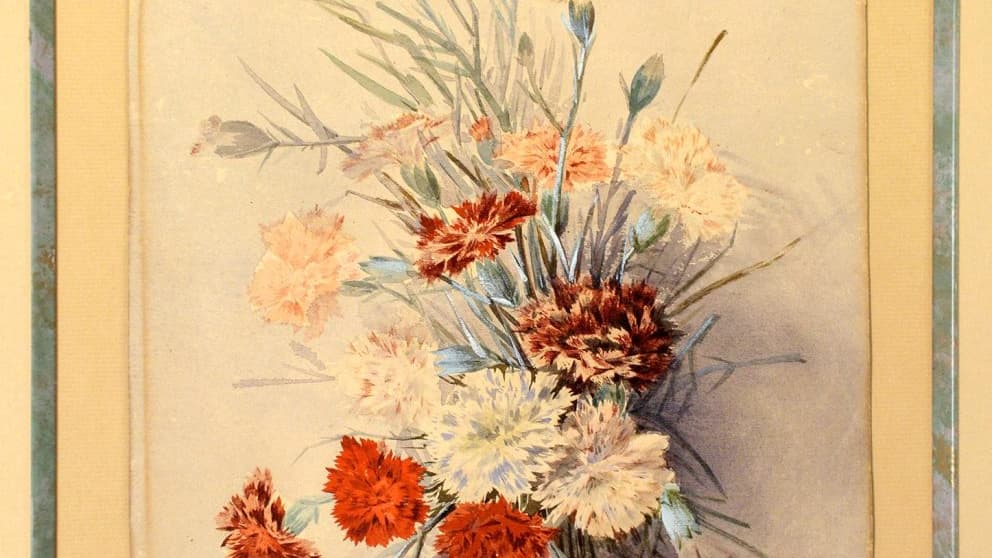 Un bouquet d'œillets Un bouquet d'œillets