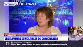 Alpes-Maritimes: les éleveurs de volailles ont manifesté contre l'enfermement de leurs volailles