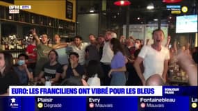 Euro: les Franciliens ont vibré pour les Bleus