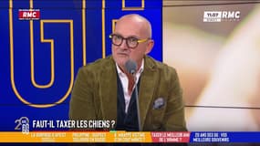 Faut-il taxer les chiens ? 