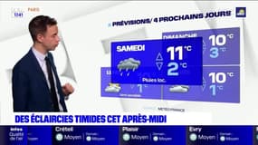 Météo Paris-Ile de France du 28 janvier: Des timides éclaircies 
