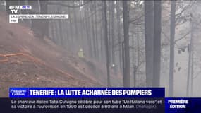 La lutte acharnée des pompiers contre l'incendie à Tenerife en Espagne