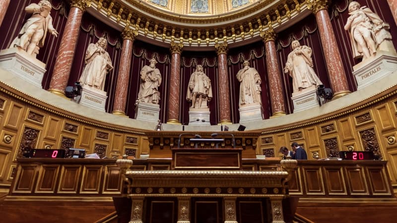 Le Sénat. 