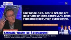 Alexandre Feltz, médecin et adjoint à la mairie de Strasbourg, souligne "l'échec de la politique sur le cannabis" en France