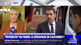 Selon Marine Le Pen, Christophe Castaner est "probablement le ministre de l'Intérieur le plus incompétent que nous ayons eu à connaître"