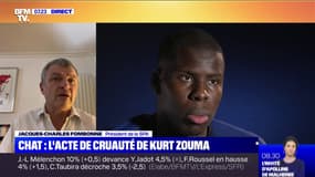 "C'est un délit": la SPA va porter plainte contre Kurt Zouma pour maltraitance animale