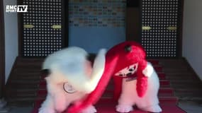 Les mascottes du Mondial de rugby 2019 font leur entrée en scène