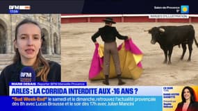 Interdire la corrida aux moins de 16 ans: un sujet qui divise à Arles