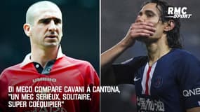 Di Meco compare Cavani à Cantona, "un mec sérieux, solitaire, super coéquipier"