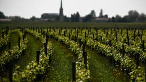 Face à la baisse de consommation des vins rouges et rosés, cette aide au secteur viticole indemnise les producteurs qui retirent leur vin du marché. 
