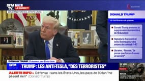 Tarifs douaniers: Donald Trump pointe "des réglementations exagérées" de la part de l'UE