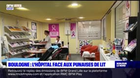 Boulogne-sur-Mer: l'hôpital face aux punaises de lit