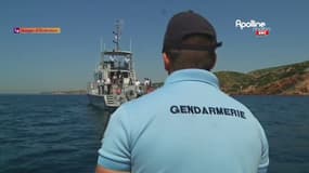 Marseille : Un trafic de palourdes démantelé
