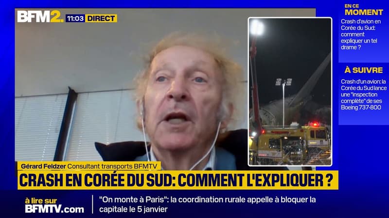 Crash en Corée du Sud:  "Le trafic aérien a augmenté et les oiseaux ont de plus en plus de mal à trouver un endroit tranquille pour nidifier"