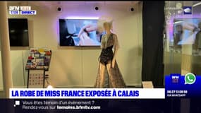 Calais: la robe de Miss France 2024 est exposée à la Cité de la dentelle