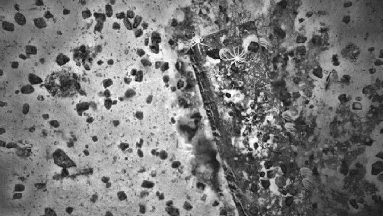 Les recherches au sonar ont permis de détecter des objets qui n'étaient à l'évidence pas d'origine naturelle.