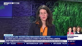 La pépite : Woodlight développe des plantes bioluminescentes, par Noémie Wira - 11/01