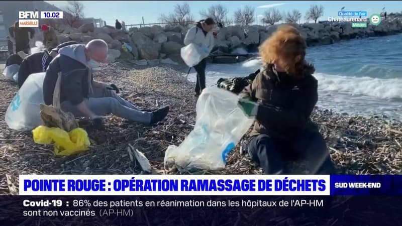 Marseille: des bénévoles ramassent les déchets sur le port de la Pointe rouge
