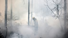Un pompier freine l'avancée d'un incendie, le 13 août 2022 à Belin-Béliet (Gironde)