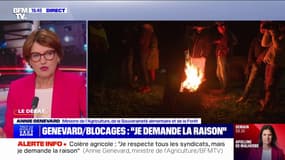 Annie Genevard (ministre de l'Agriculture): "Que les Français expriment leur soutien aux paysans, je trouve ça réjouissant"