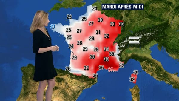 BFMTV BFMTV
