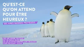 Campagne d'engagement institut Océanographique 