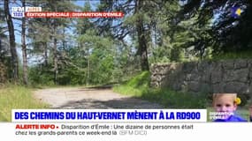 Disparition d'Émile: des chemins du Haut-Vernet mènent à la RD900