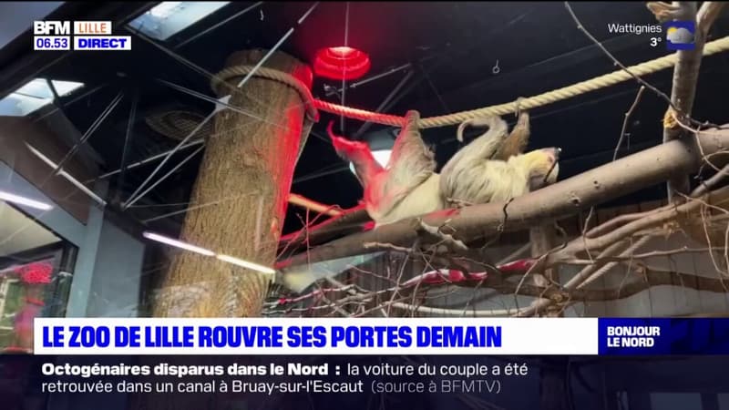 Lille: réouverture du zoo ce samedi