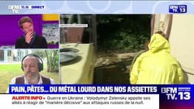 Pain, pâtes .. métal lourd sur nos assiettes - 06/06