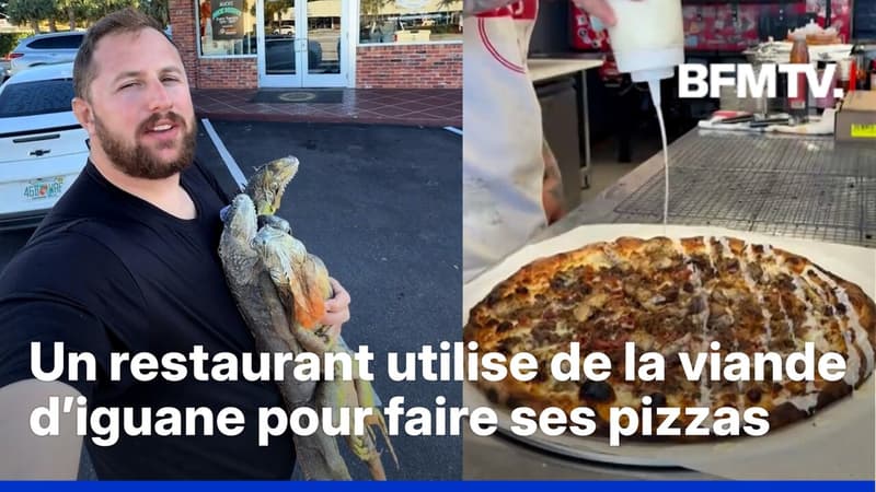 États-Unis: un restaurateur en Floride garnit ses pizzas de viande d'iguane