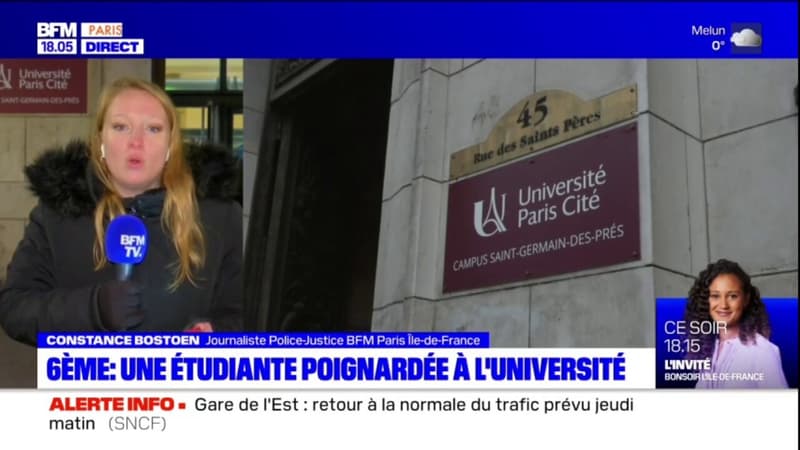 Paris: une étudiante ppignardée, le suspect interpellé