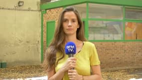 Anne-Cécile Mailfert, présidente de la Fondation des femmes le 26 juillet 2019 sur BFMTV.