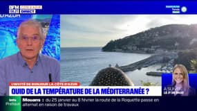 Rade de Villefranche: la température de l'eau a "augmenté d'environ 0,8°C en 10 ans"