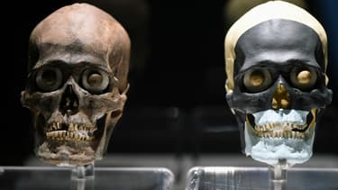 Des crânes exposés dans le musée du "Templo mayor" à Mexico.