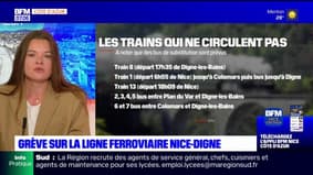Des trains supprimés sur la ligne Nice-Digne après une grève des cheminots