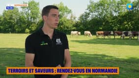 Terroirs et saveurs, rendez-vous en Normandie - Lundi 30 juin 2025