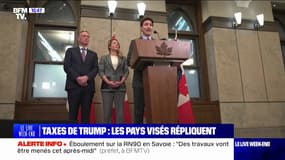 Canada, Mexique, Chine: les pays visés par les droits de douane de Donald Trump ont répliqué