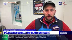 Pêche à la coquille: un bilan contrasté en Normandie