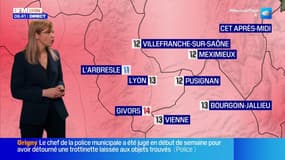 Météo Rhône: des éclaircies attendues ce vendredi malgré un ciel nuageux, jusqu'à 13°C à Lyon