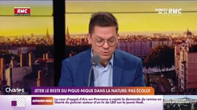 Pique-nique: jeter ses restes de fruits dans la nature, ce n'est pas écolo !
