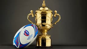 La Webb Ellis Cup, trophée de la Coupe du monde de rugby
