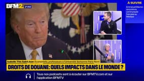 Donald Trump "se plante dès le départ" sur les droits de douane et "ça pèse sur le pouvoir d'achat des Américains", analyse l'économiste Isabelle This Saint-Jean